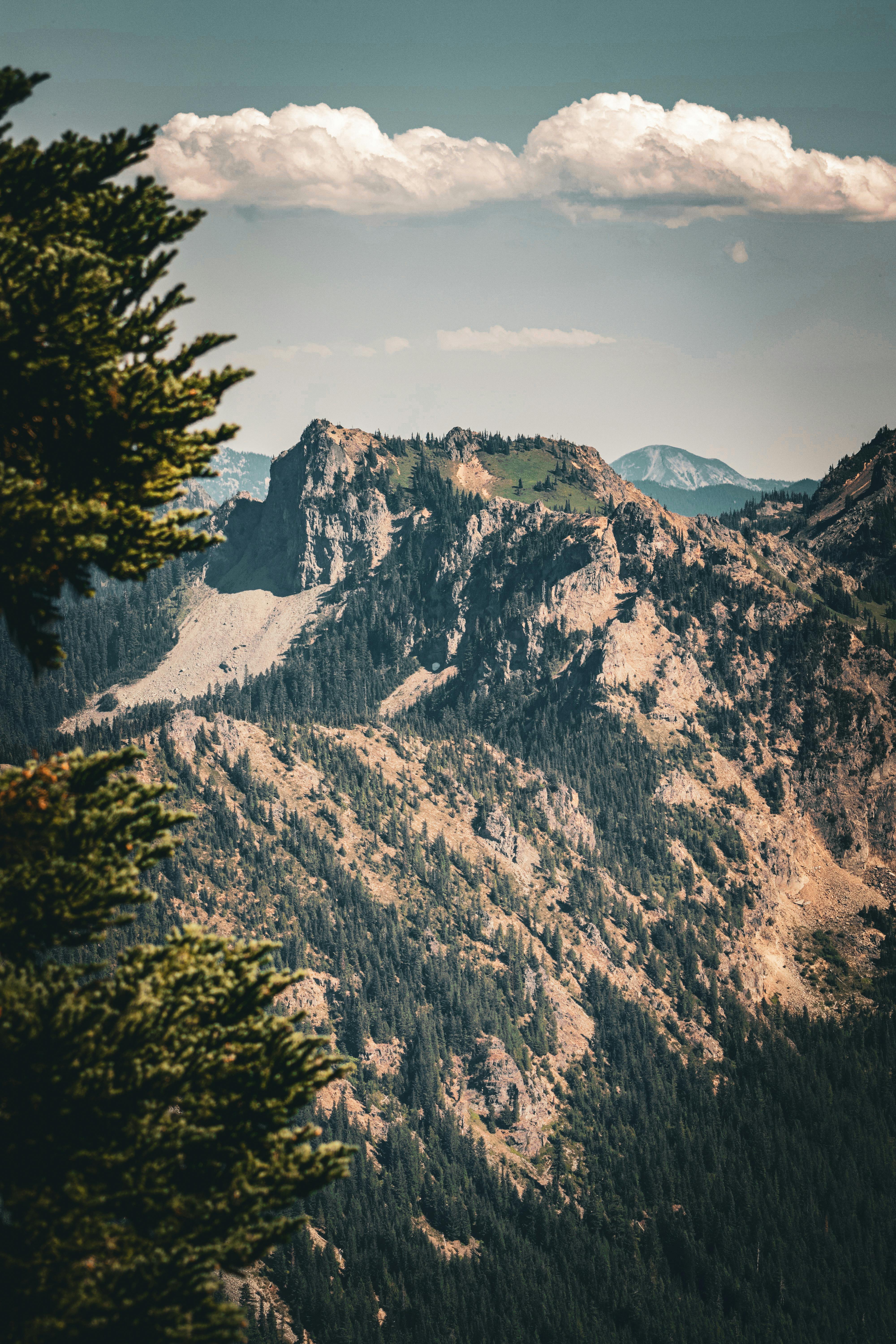 4000x6000 Dramatic Mountain Landscape in Washington State · Free
