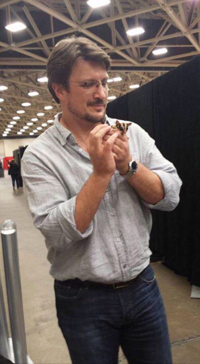 703x1280 Nathan Fillion. Nathan fillion, Castle tv shows, Firefly serenity