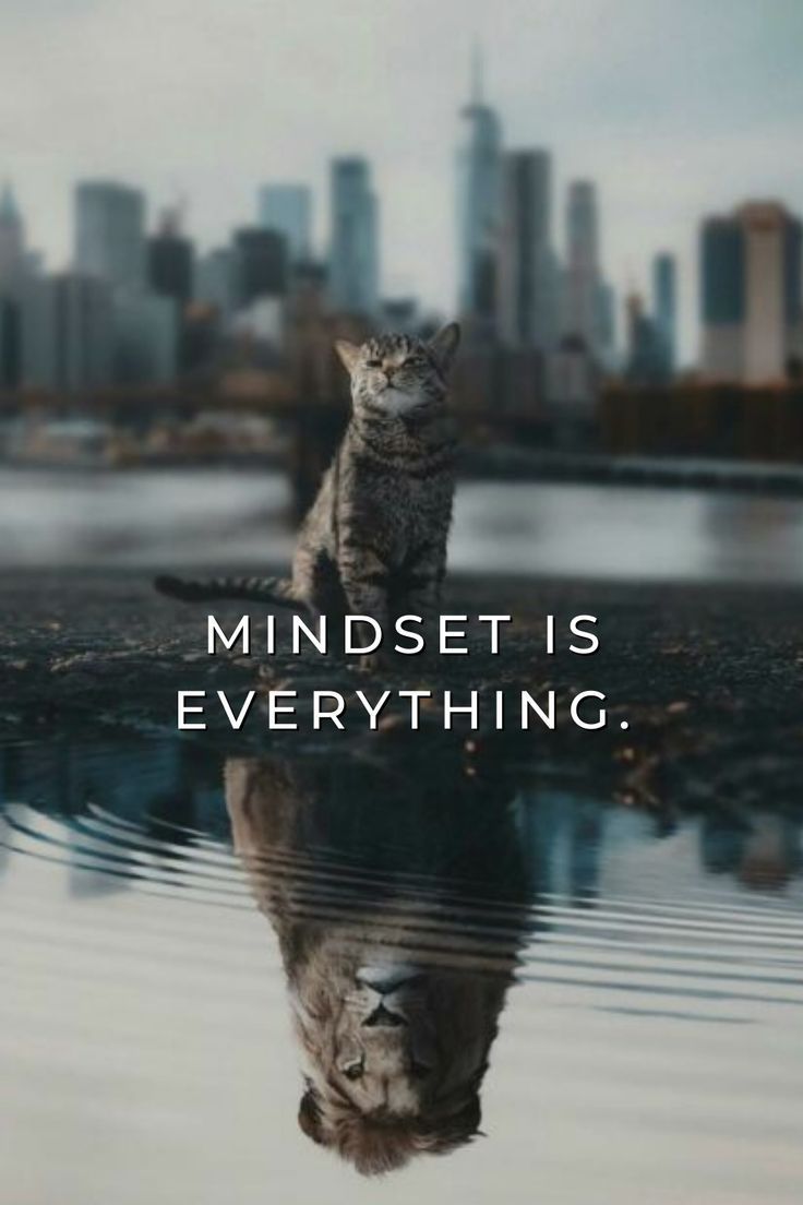 736x1104 MINDSET IS EVERYTHING