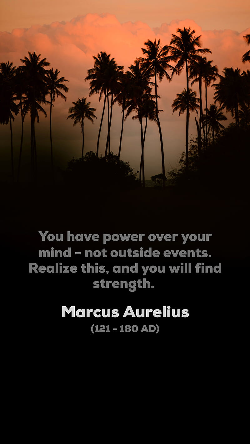 800x1422 Quote Beach, brain, colorful, inspiration, mindset, motivation, palm, quote, HD phone wallpaper