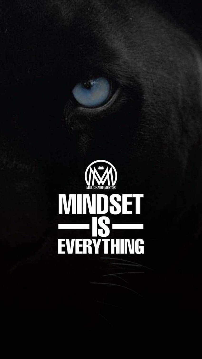 850x1511 Millionaires sayings, Millionaire Mindset HD phone wallpaper