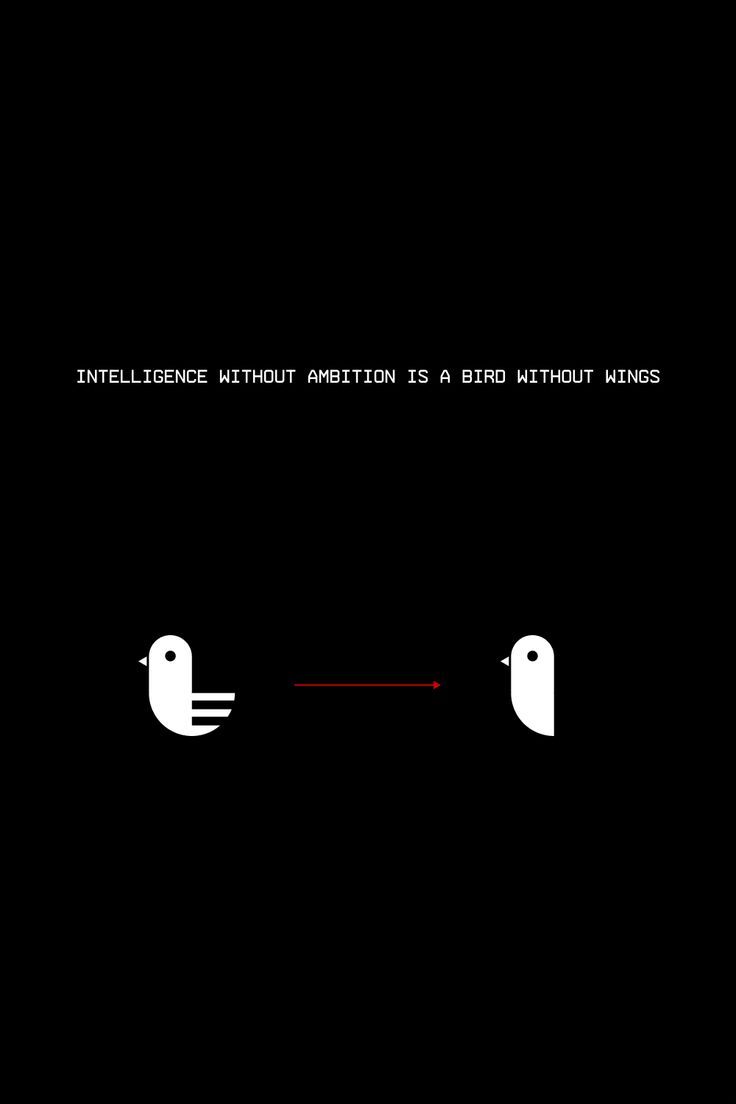 736x1104 Minimal. Visual. Design. Simplicity. Creativity. Wallpaper. Ambition. Quotes