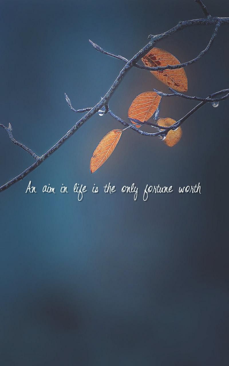 800x1280 Aims and Ambitions. Quotes Pretty City Girl. Indian Travel & Lifestyle Blog