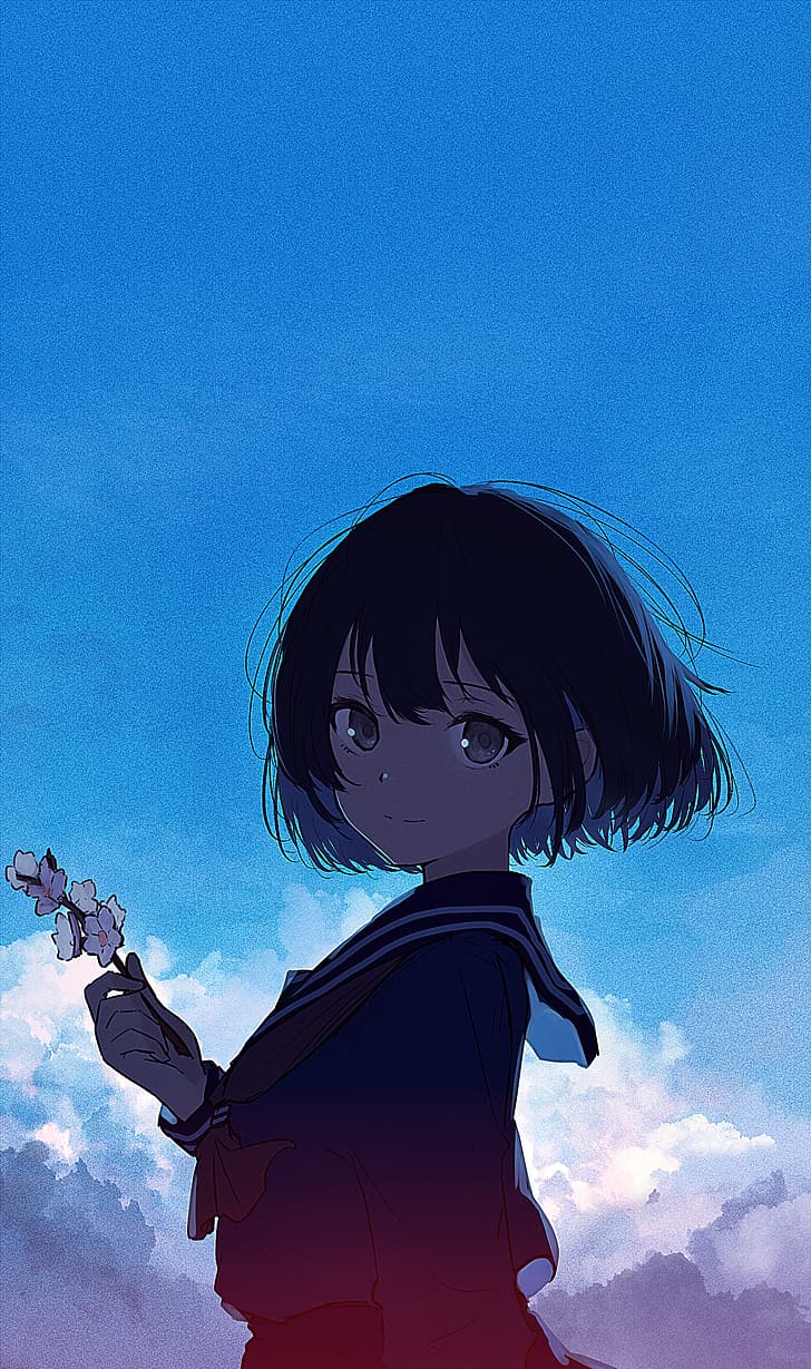 728x1229 HD wallpaper: anime girls, original characters, dusk, landscape, dark hair