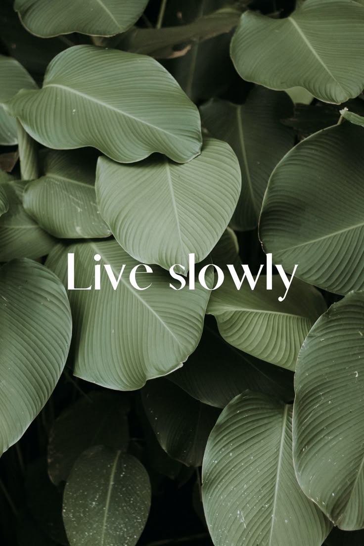 736x1104 Slow Living