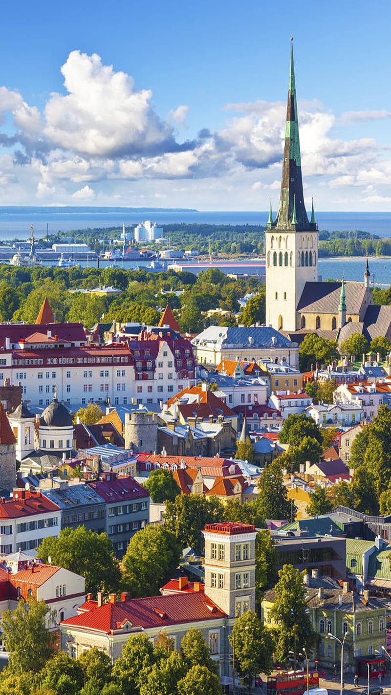 800x1422 Old town, cathedral, estonia, green, old, sea, tallin, tower, town, trees, village, HD phone wallpaper
