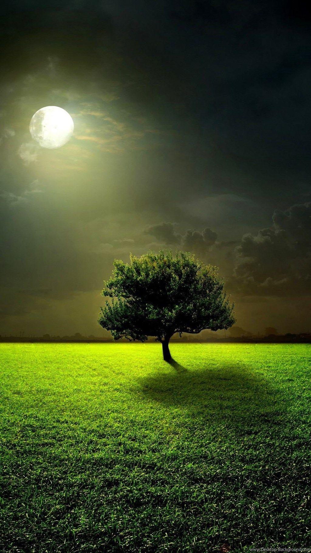 1024x1820 iPhone 6 Wallpaper Nature