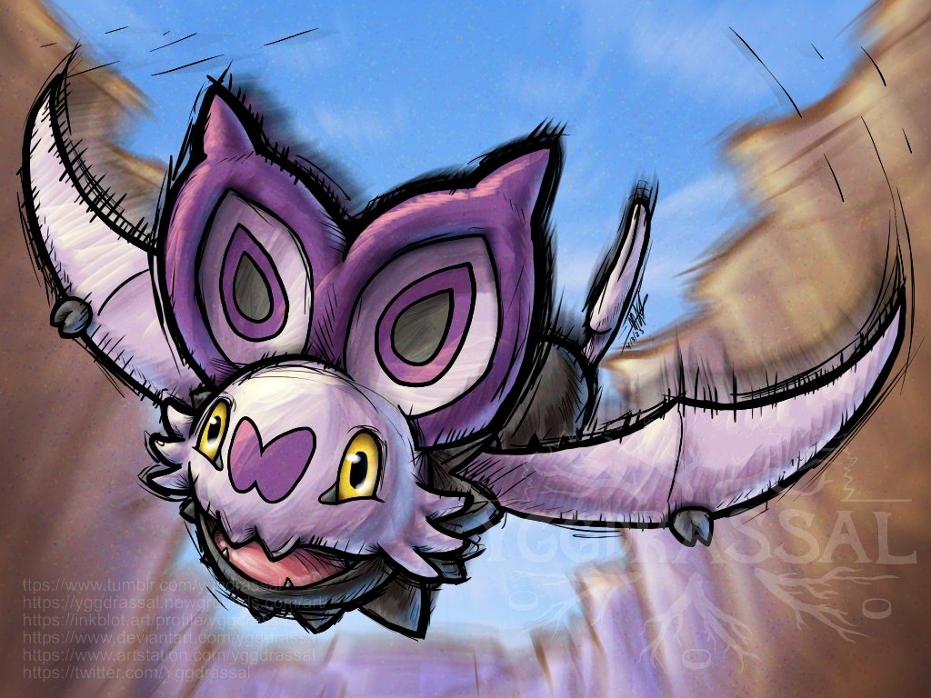 1024x768 Noibat by Yggdrassal on Newgrounds