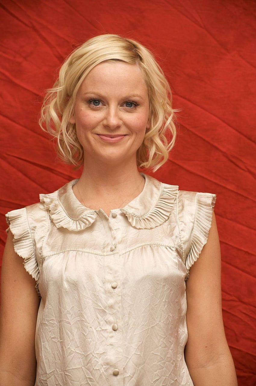 850x1284 Amy Poehler 1 of 67 pics HD phone wallpaper