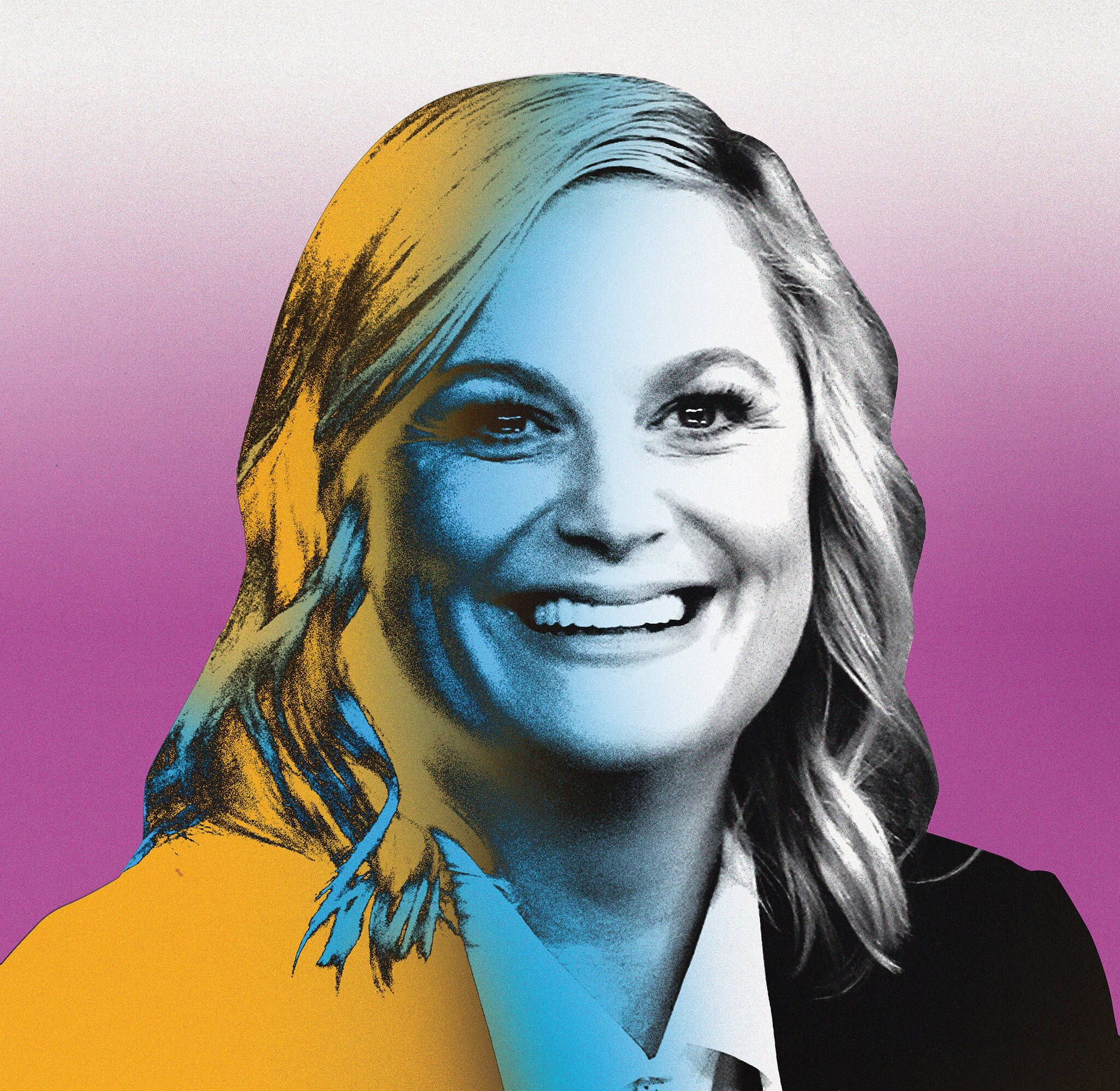 1920x1871 Amy Poehler Wallpaper
