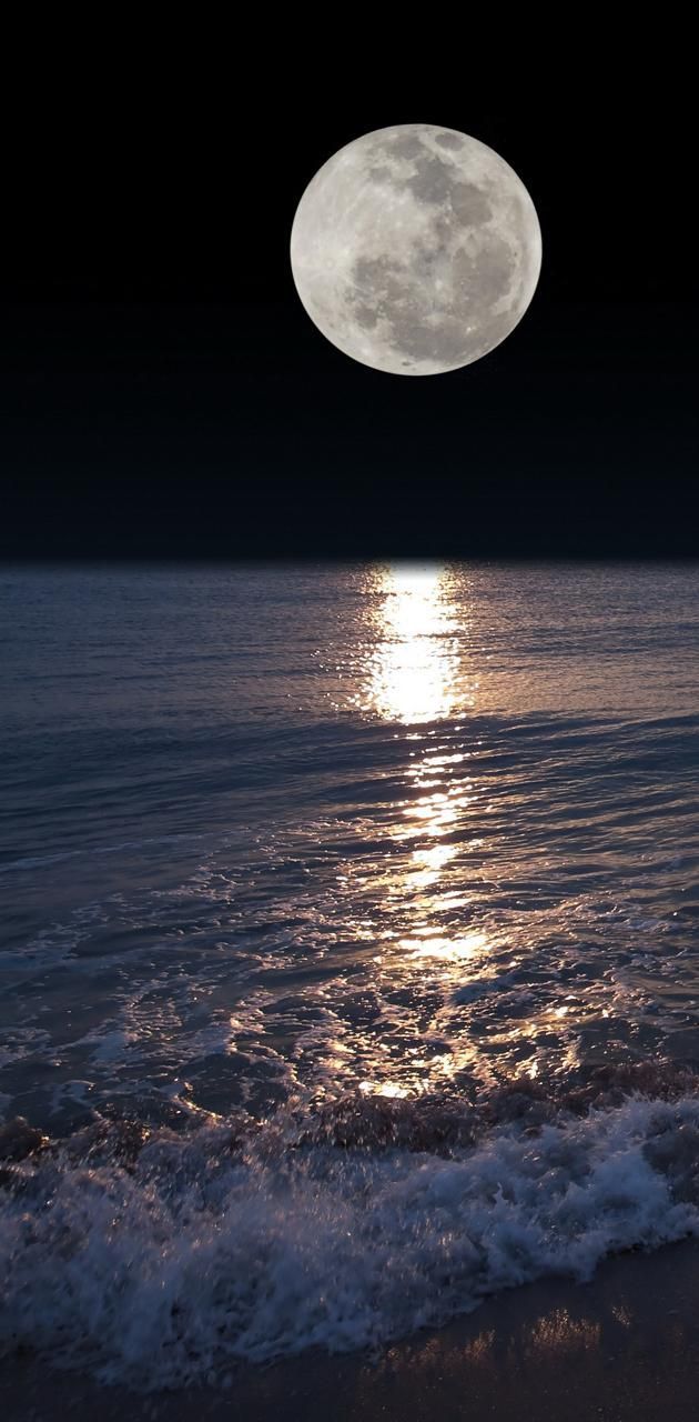 630x1280 Night Moon wallpaper