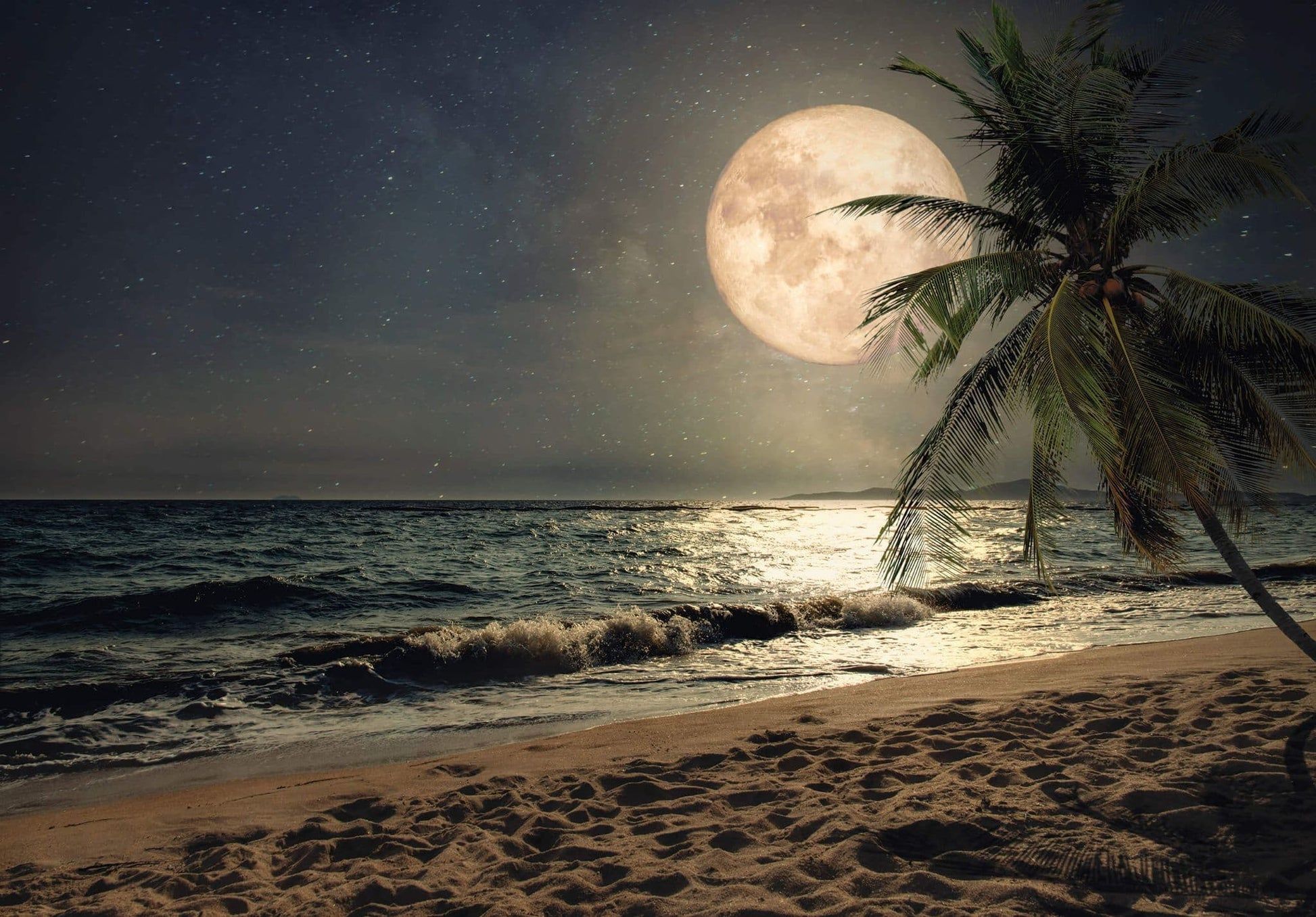 1946x1356 Night Beach Scenery With Moon Non Woven Photo Wallpaper