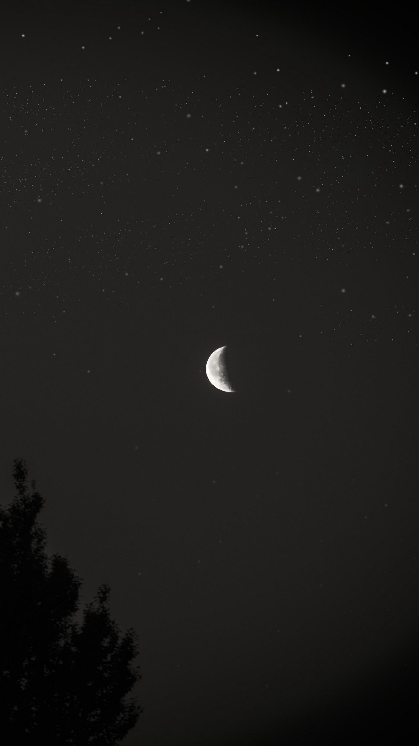 1350x2400 Download wallpaper 1350x2400 moon, night, sky, tree, stars, dark iphone 8+/7+/6s+/for parallax HD background