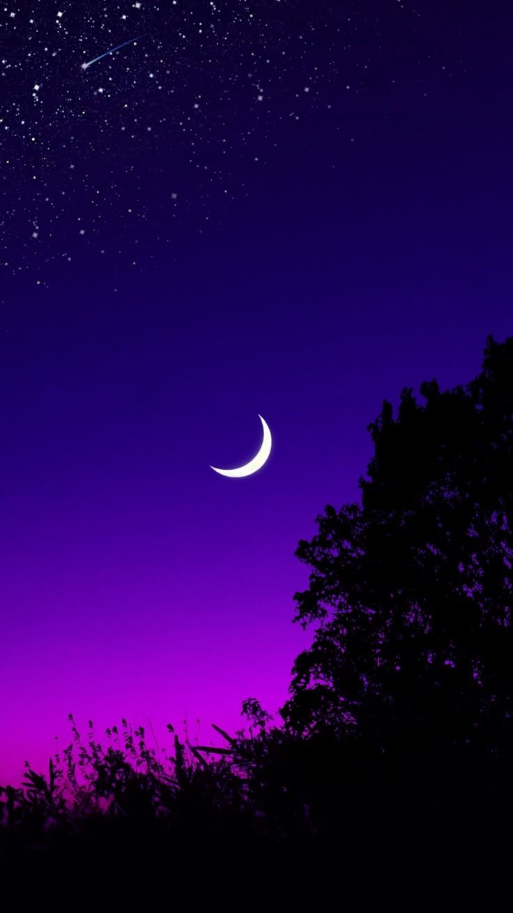 736x1308 Download wallpaper 1080x1920 moon, tree, starry sky, night, stars, dark samsung galaxy s s not
