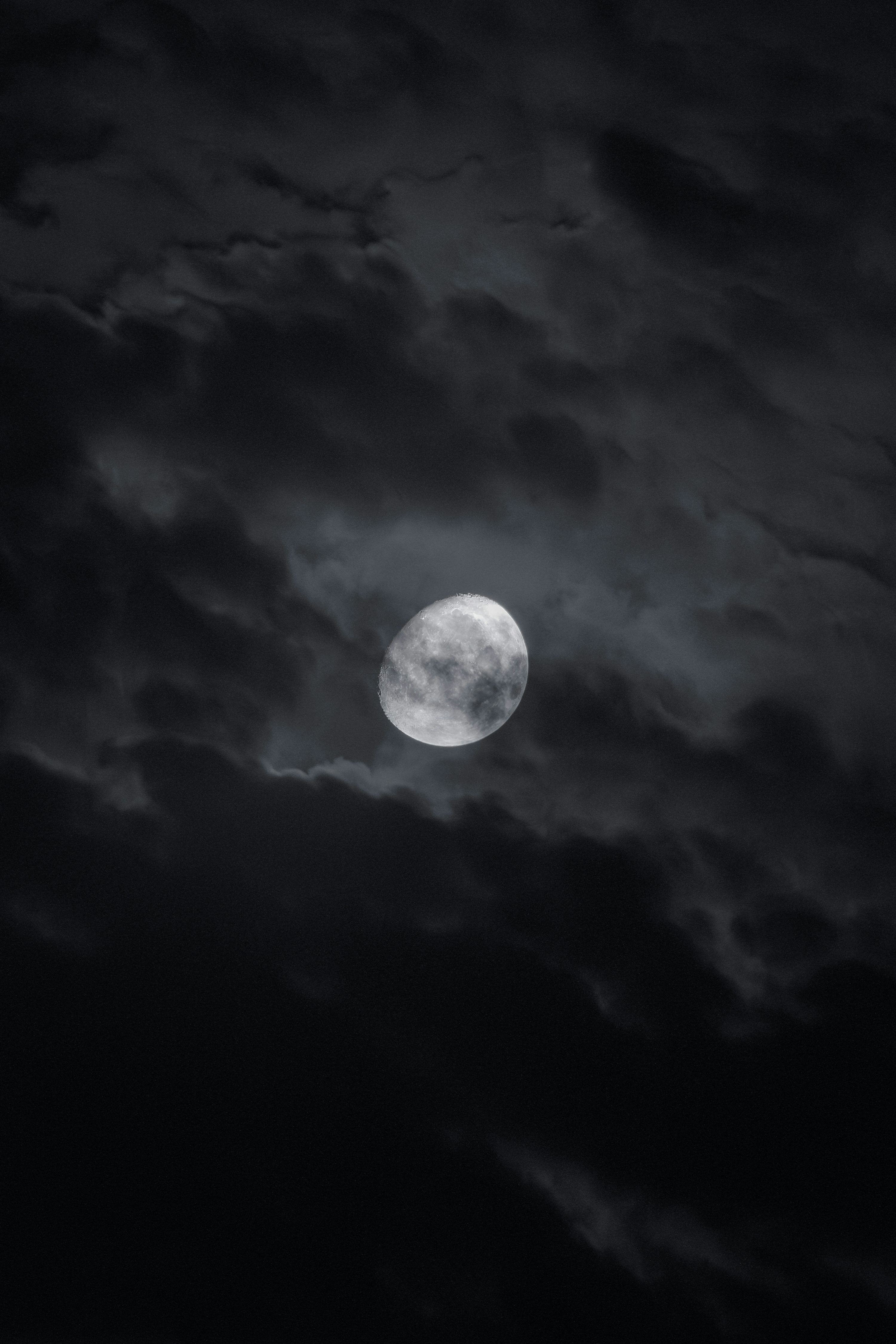 3000x4500 A full moon is seenuds photo