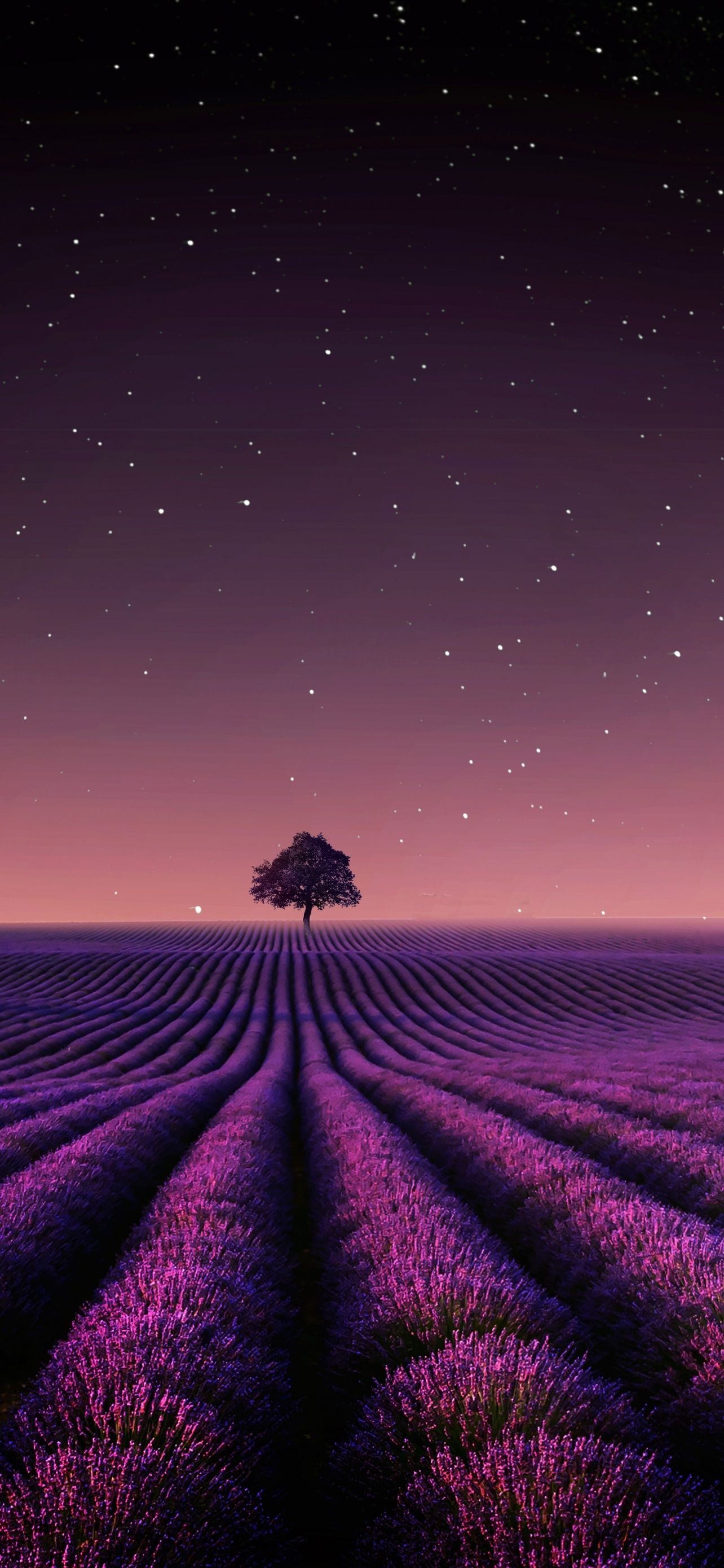 1284x2778 Lavender Fields Solitude Tree Crescent Moon Stars Night Sky