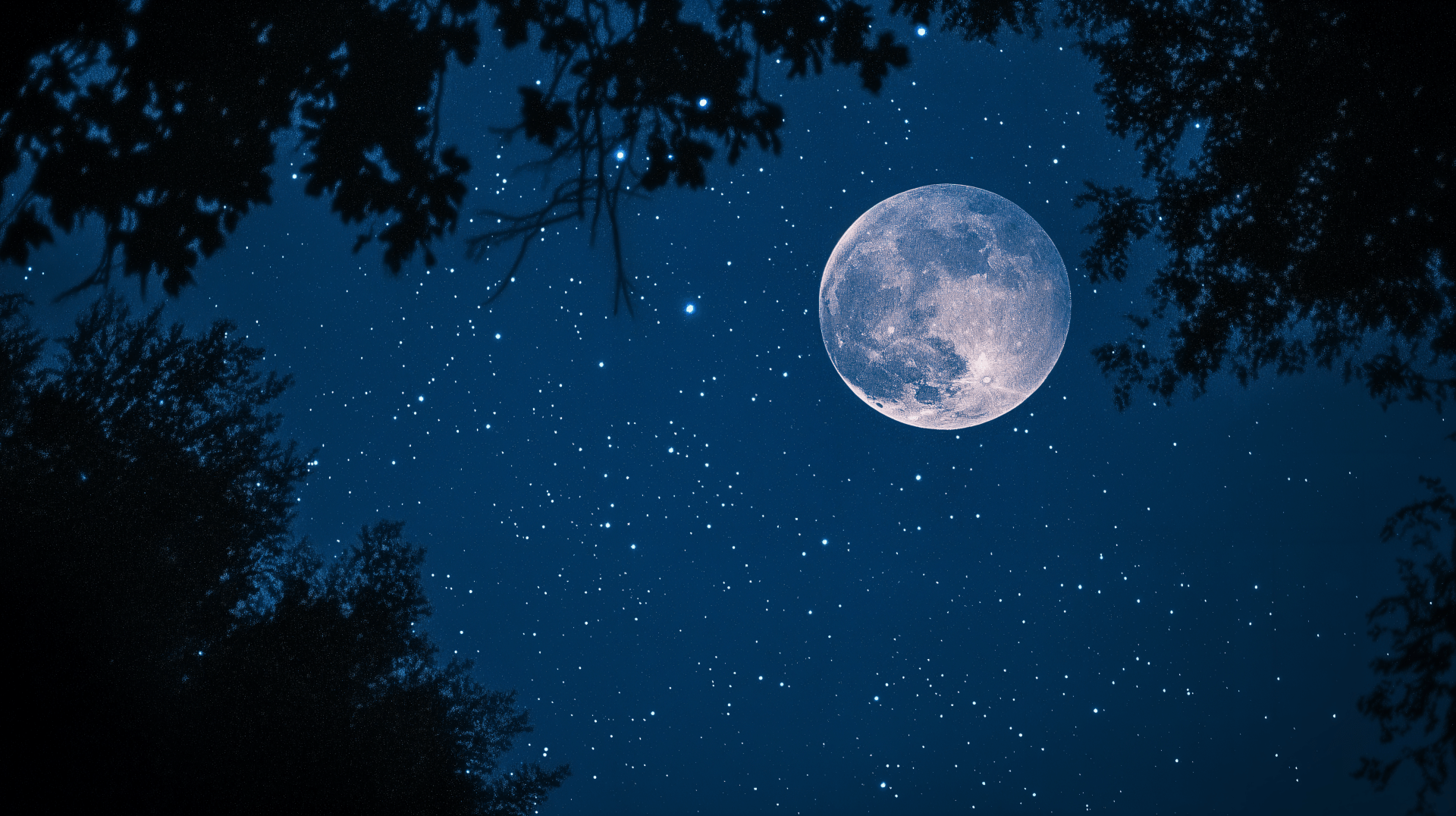 1920x1076 Moonlit Sky: Stunning 4K Ultra HD Wallpaper