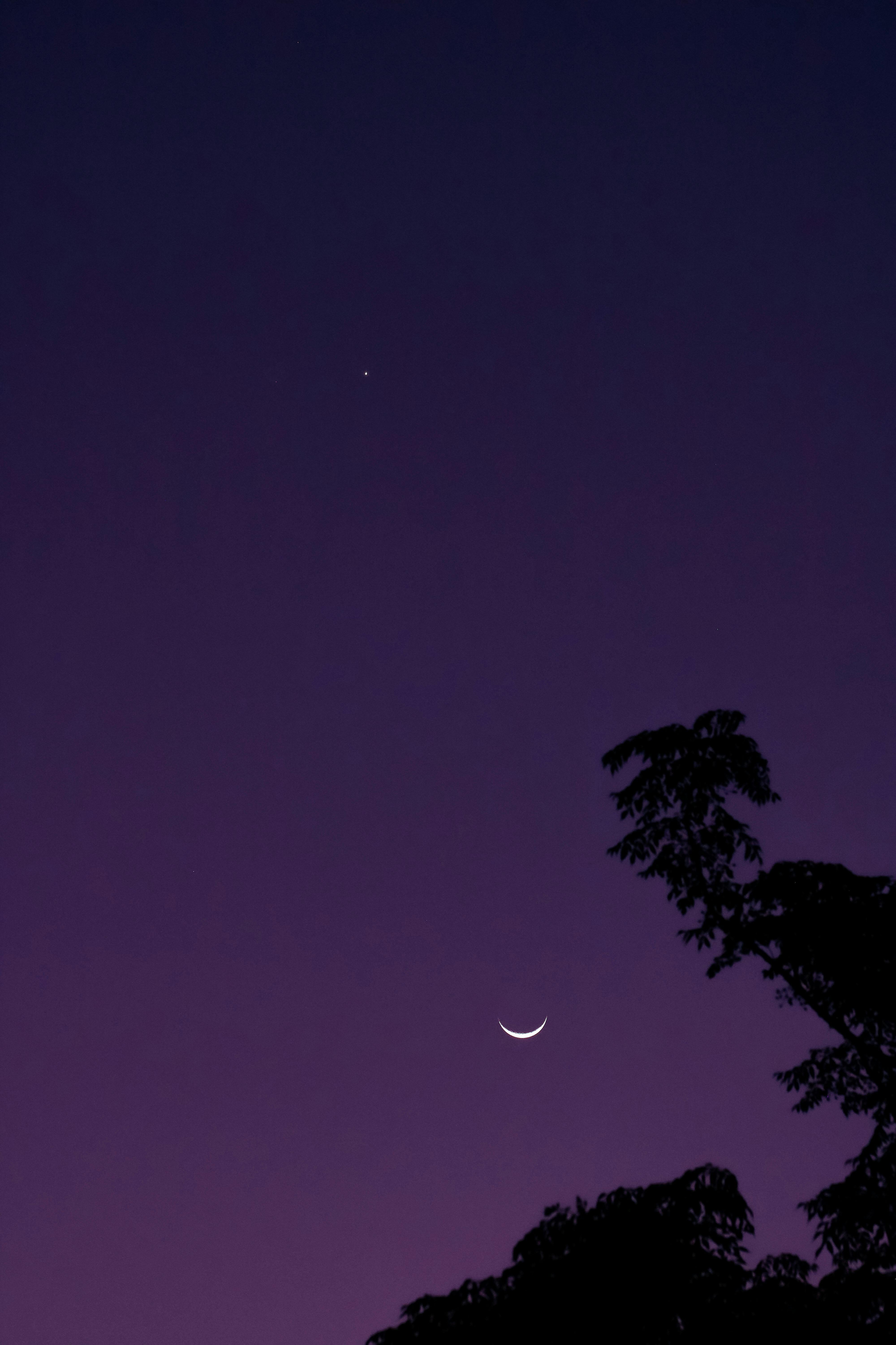 4000x6000 Moon in Night Sky · Free