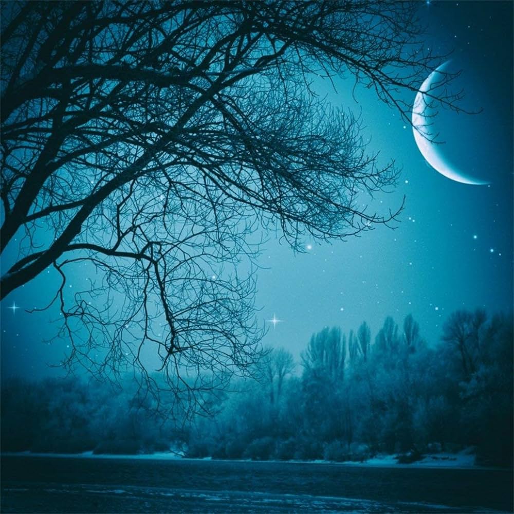 1000x1000 5x5ft Beautiful Moon Night Photography Background Dreamy Forest Scenery Backdrop Fairyland Woods Starry Sky Kid Girl Adult Artistic Portrait Photohoot Studio Props Video Drape Wallpaper : Amazon.in: Electronics