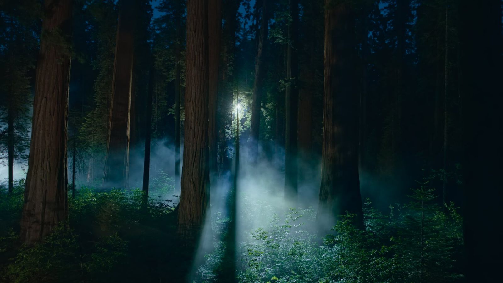 1600x900 Latest macOS Sequoia Betas Add New Wallpaper