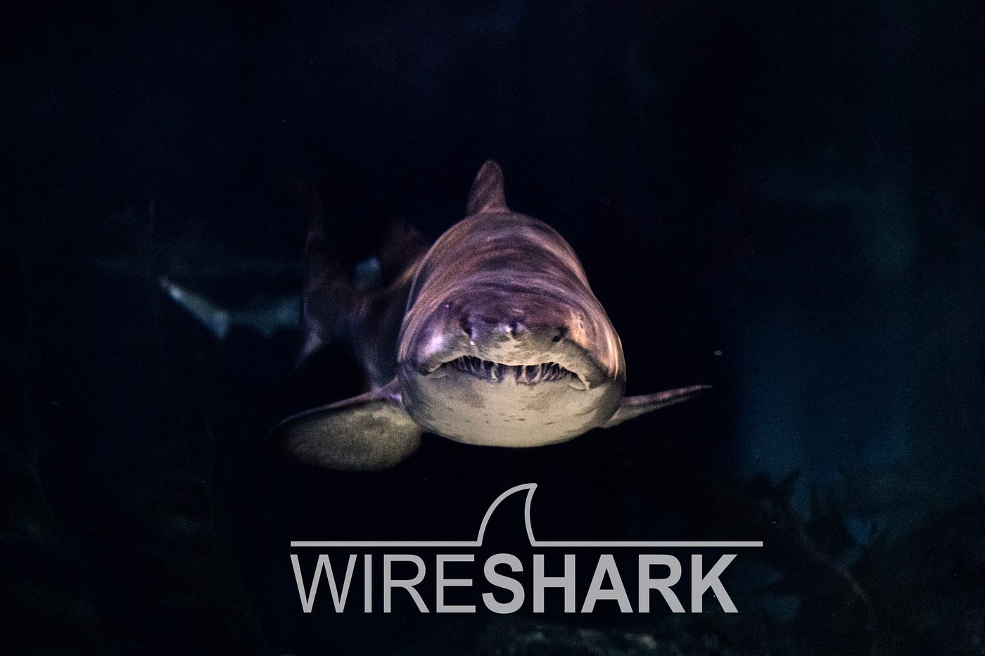 1400x933 Wireshark Wallpaper