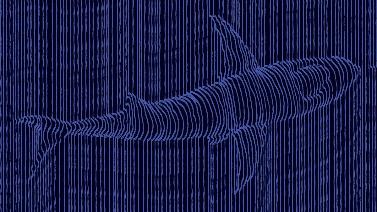 1200x675 Wireshark Wallpaper