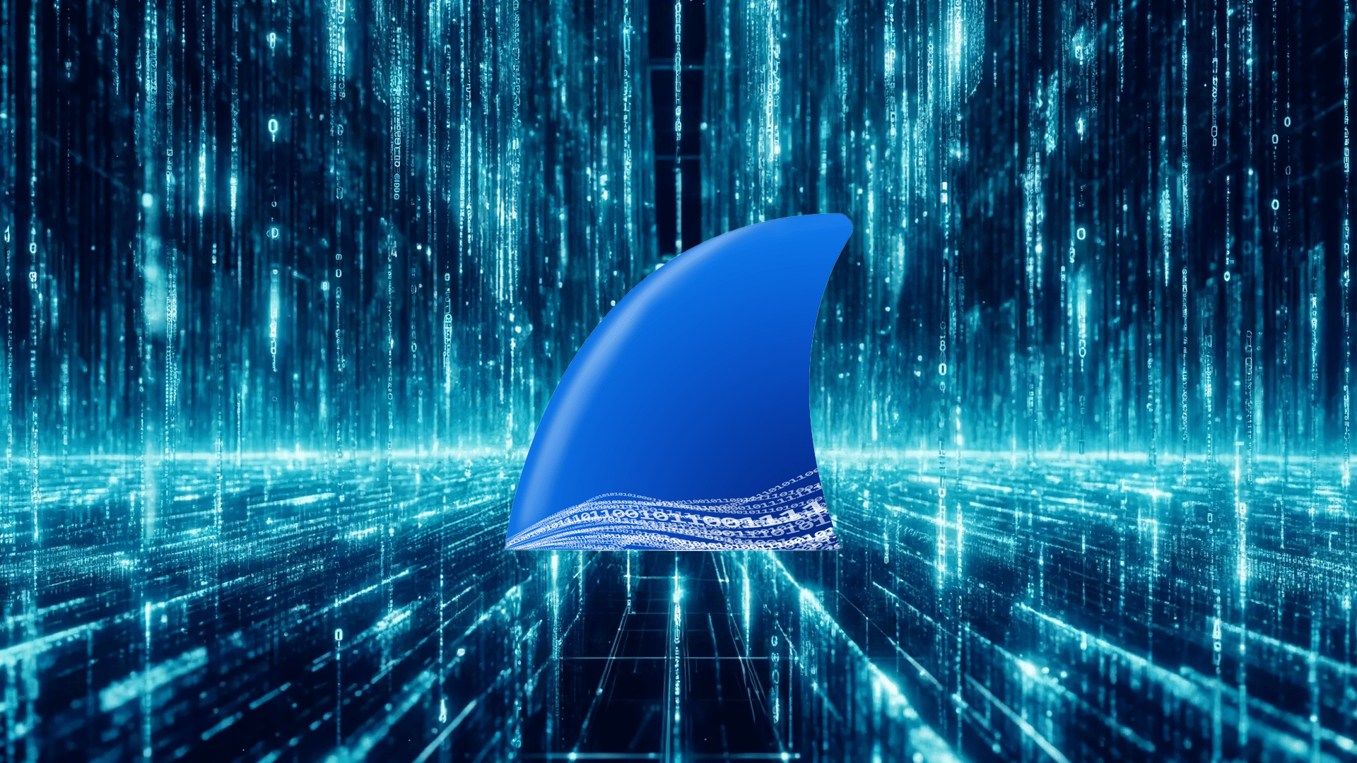 1920x1080 Using WireShark to ensure clear text user details aren't leaked