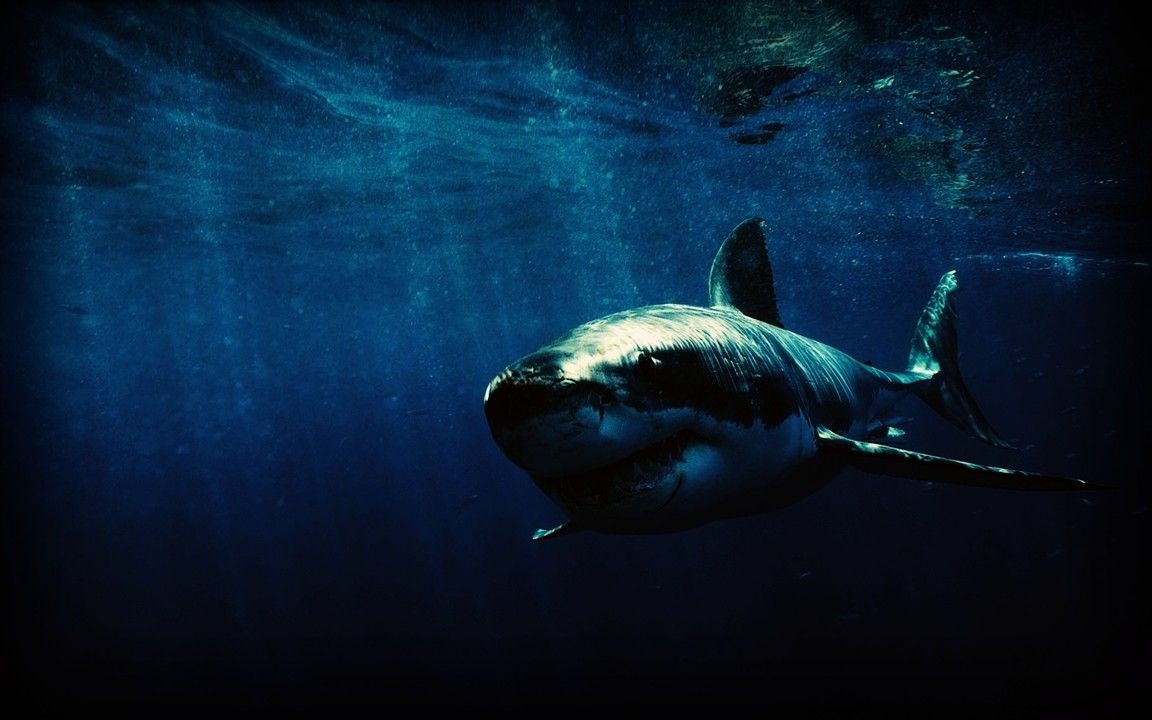1152x720 Analyzing iOS Applications with Wireshark