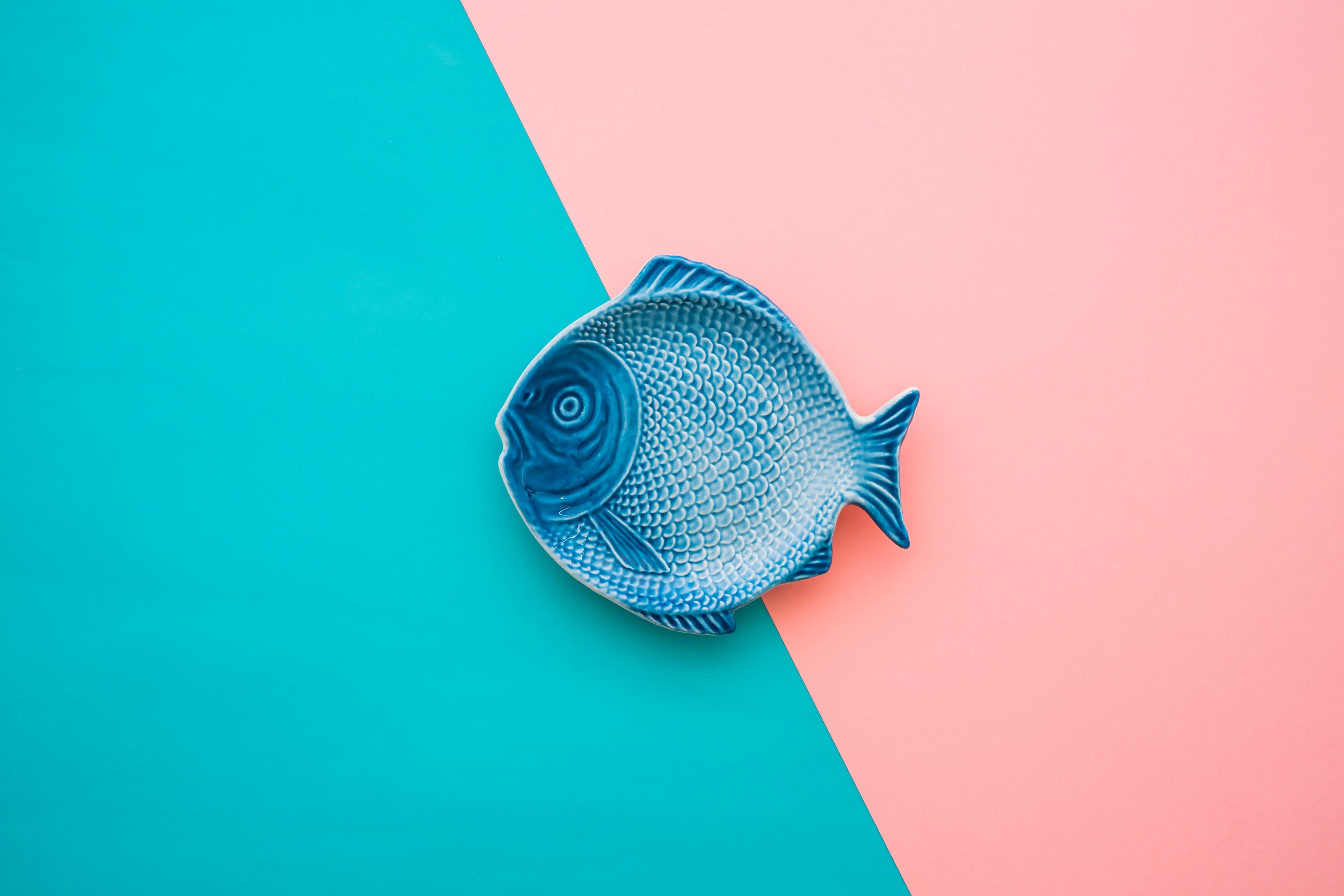 3840x2560 Wireshark Packet Capture
