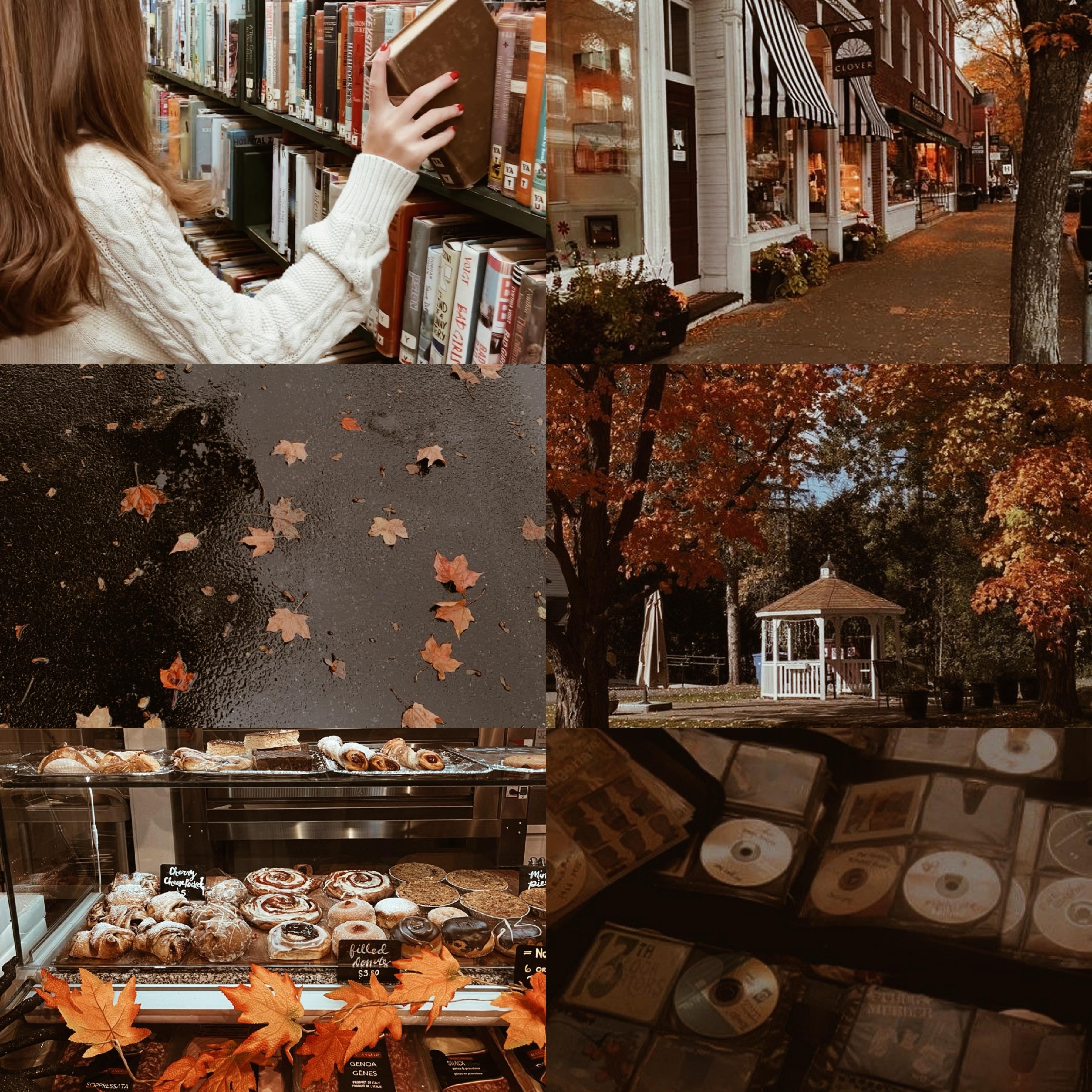 3600x3600 autumn in stars hollow
