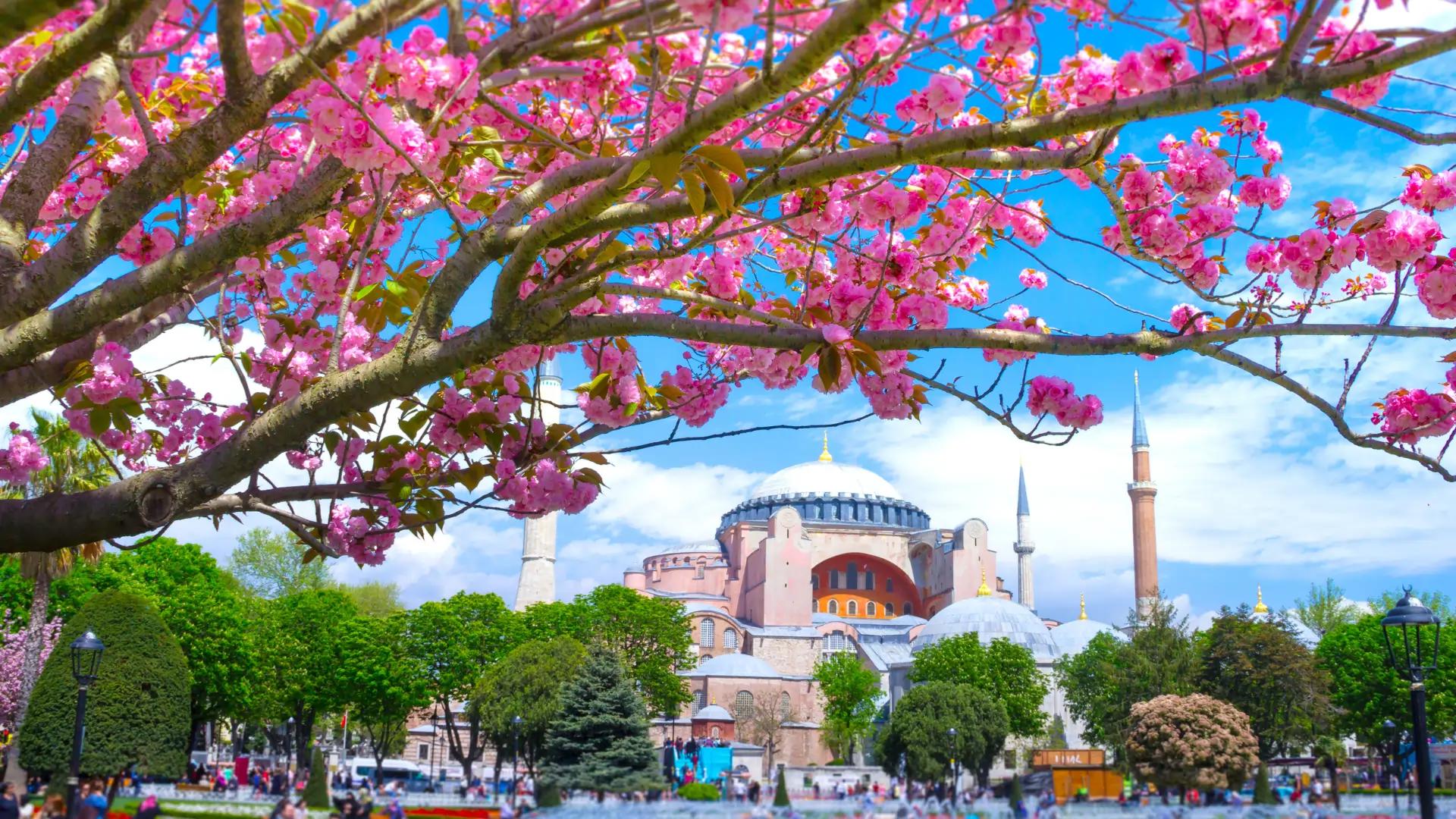 Spring Turkey Background Istanbul Spring Wallpapers - Top Free Istanbul Spring Backgrounds ...