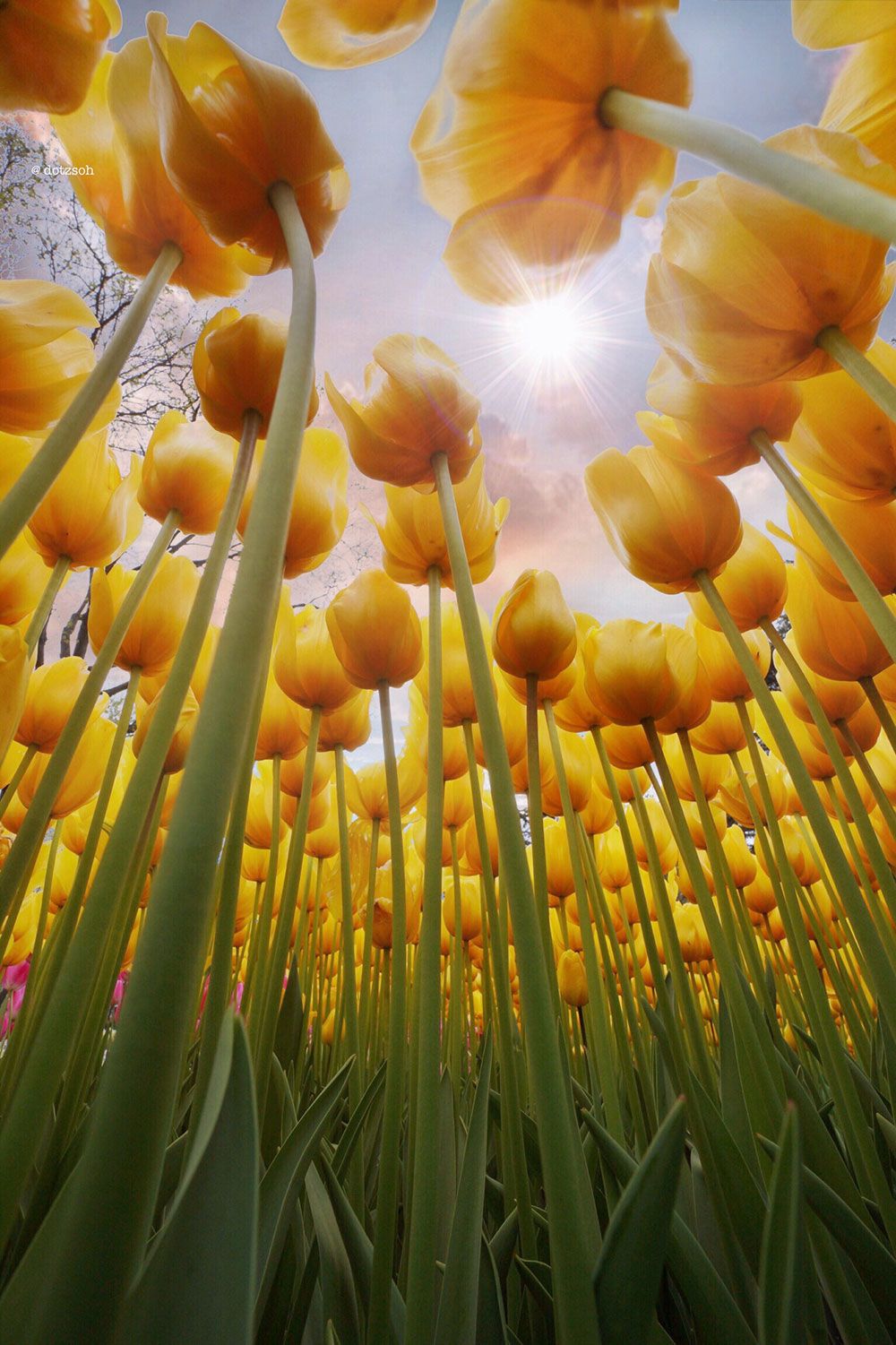 Spring Turkey Background Istanbul Spring Wallpapers - Top Free Istanbul Spring Backgrounds ...