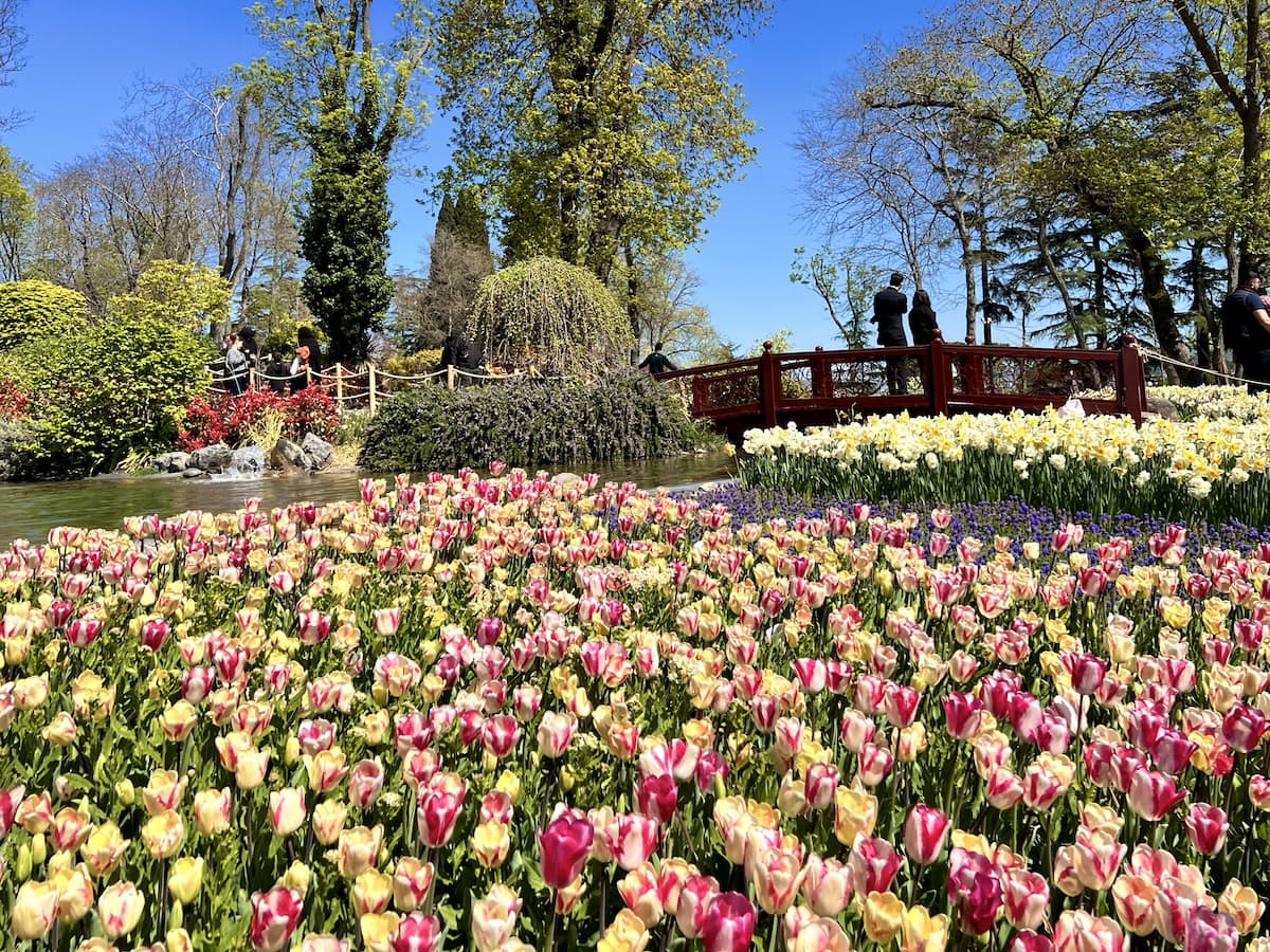 Spring Inıstanbul Istanbul Spring Wallpapers - Top Free Istanbul Spring Backgrounds ...