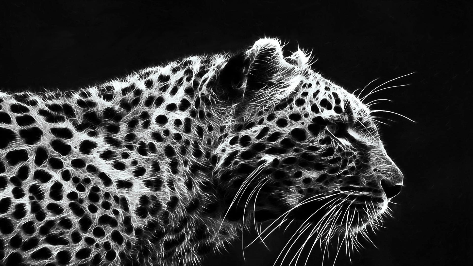 1920x1080 HD Jaguar 4k Wallpaper