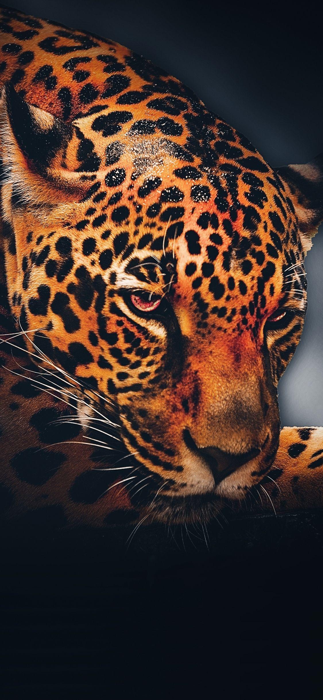 Leopard Brown Art Wallpapers - Leopard Wallpapers for iPhone 4k