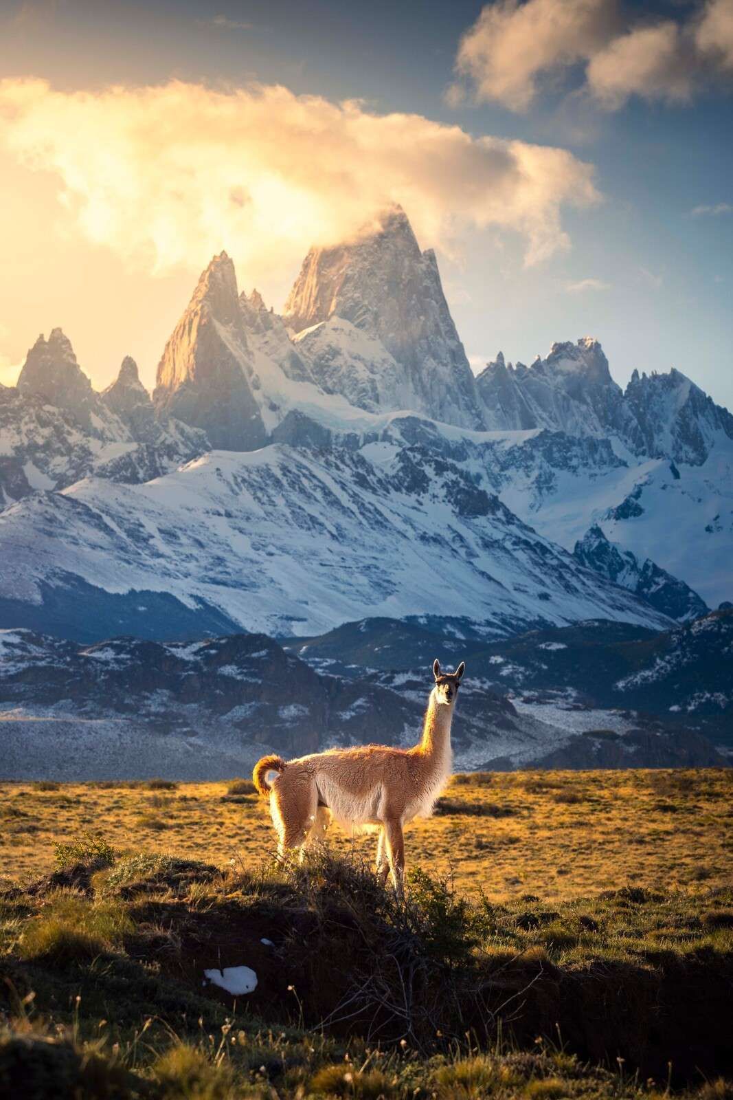 1067x1600 Wall Mural in sunlight in front of Andes peaks