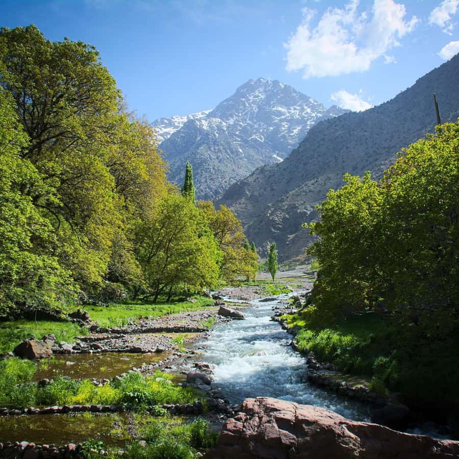 900x900 From Marrakech: Atlas Mountain Day Trip Ourika Valley