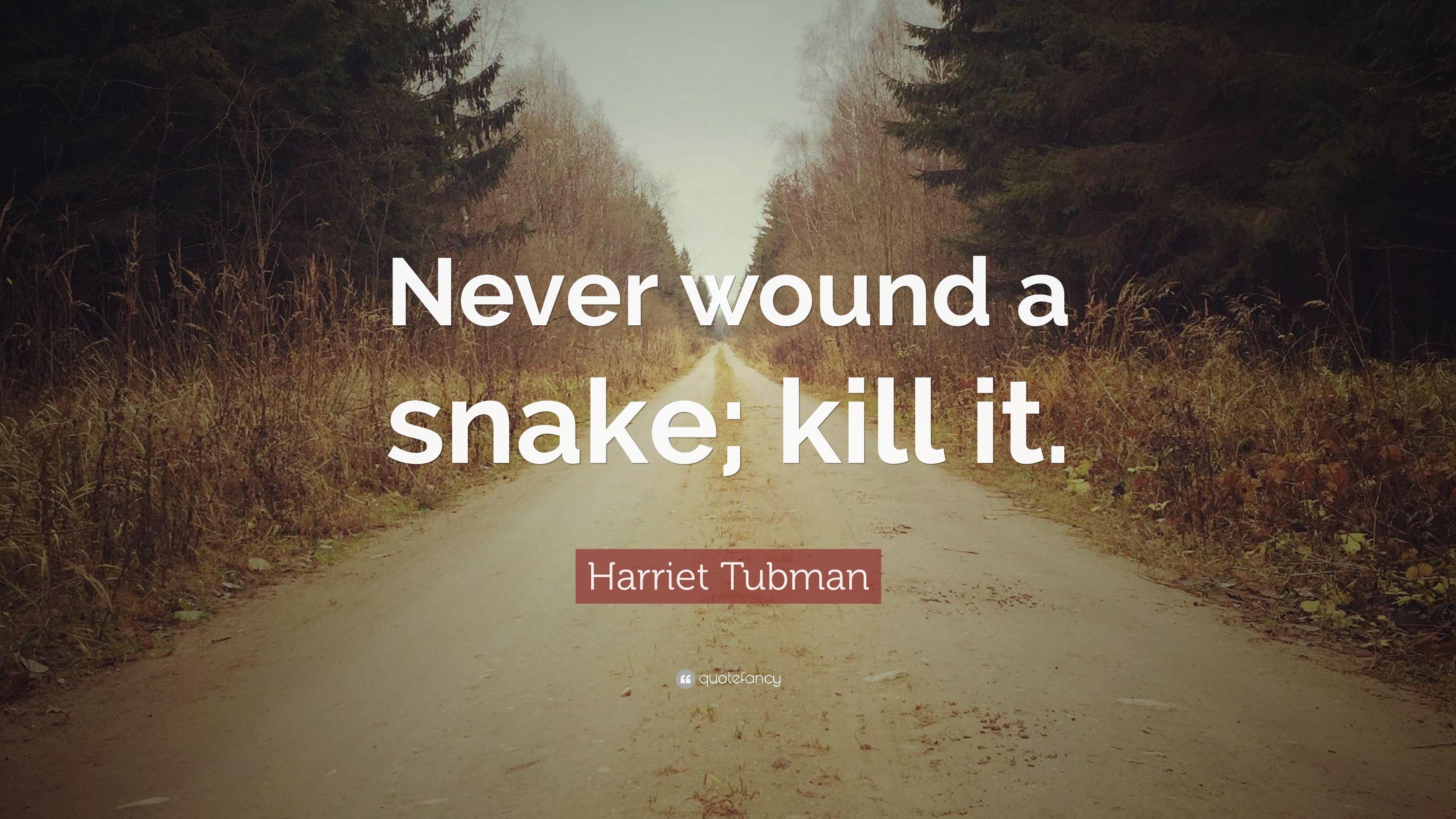 3840x2160 Harriet Tubman Quote: “Never wound a snake; kill it.” 9