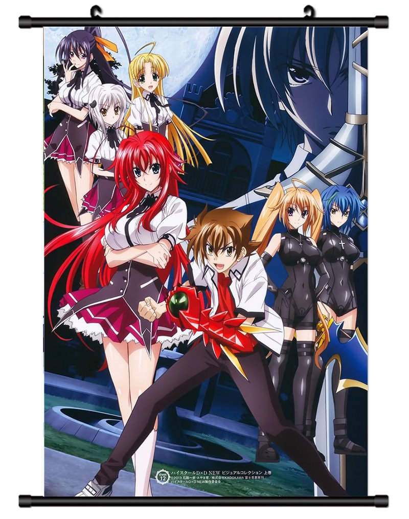 800x1015 Highschool DxD HERO Decor Poster Wall Scroll cosplay