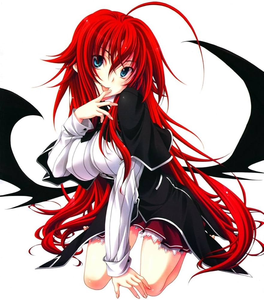 881x1000 High School DxD OAD Customized 14x18 inch Silk Print Poster/ WallPaper Great Gift : Sports & Outdoors