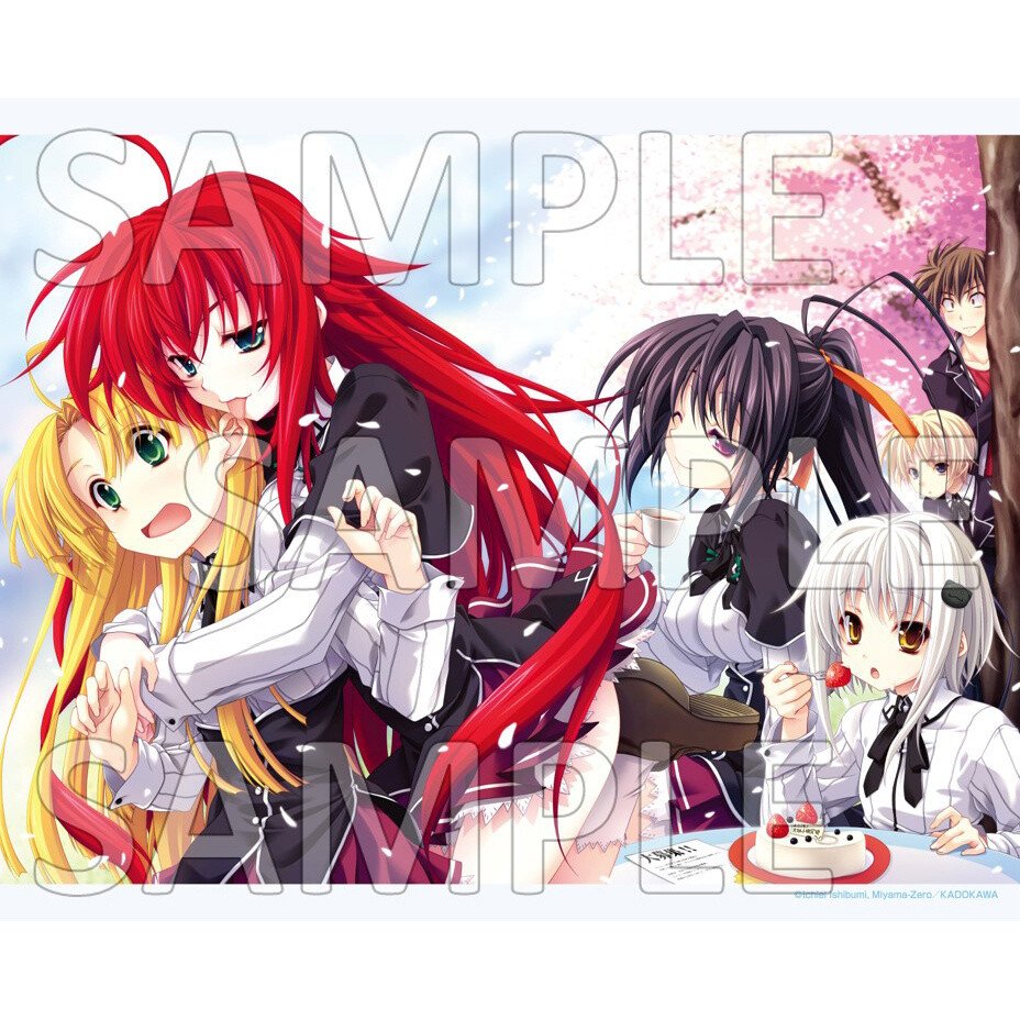 928x928 High School DxD Canvas Art Hanami Ver.: Medicos Entertainment Otaku Mode (TOM)
