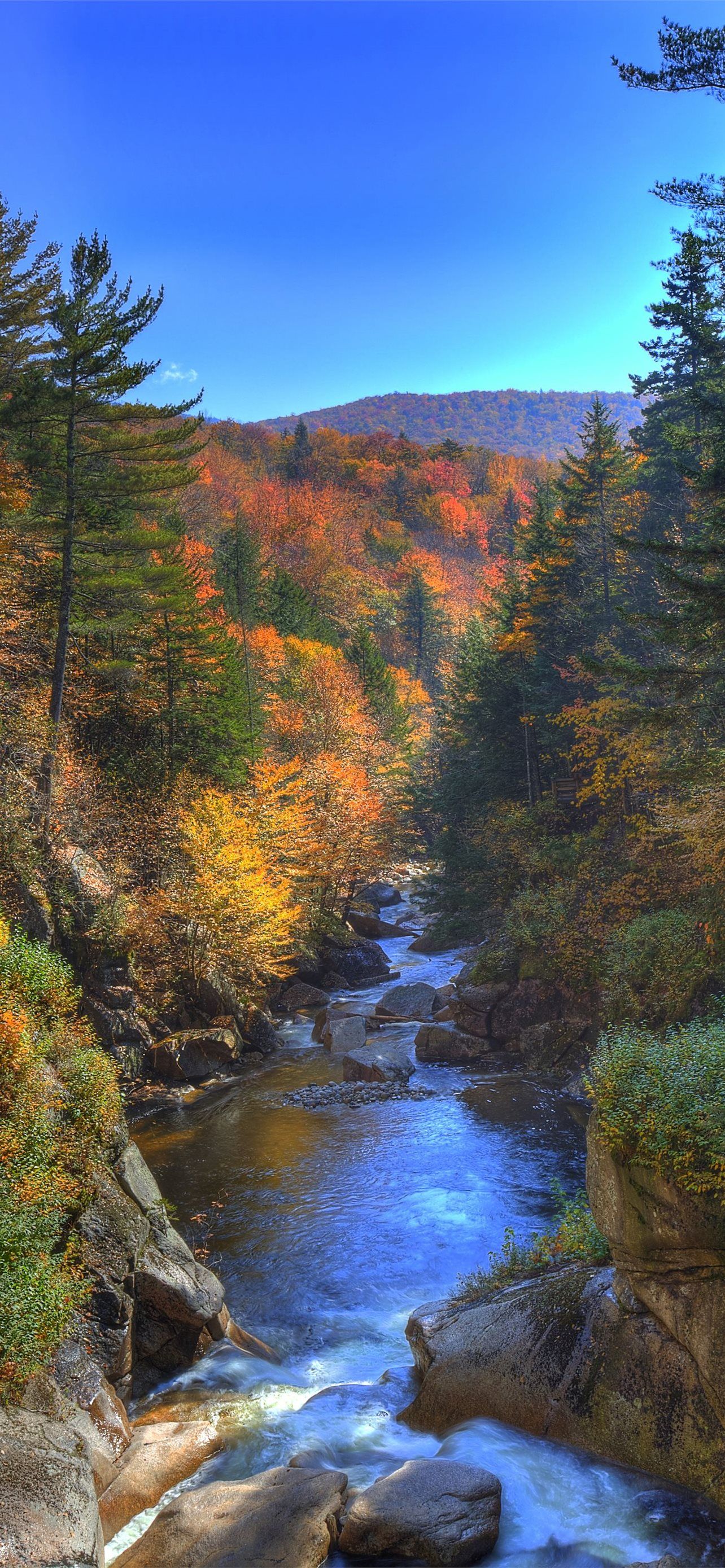 1284x2778 new hampshire iPhone Wallpaper Free Download