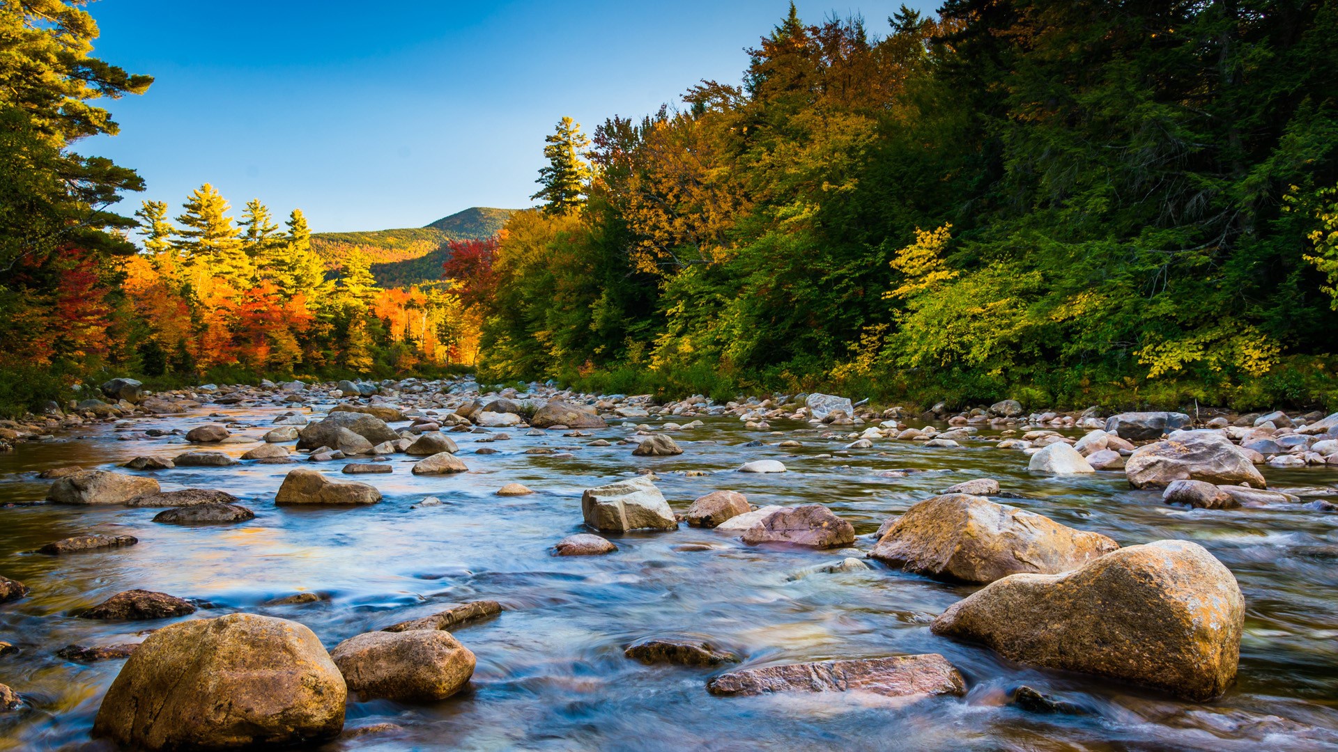 1920x1080 Wallpaper USA, forest, river, sky, trees, landscape, nature, water for mobile and desktop, section природа, resolution 1920x1080