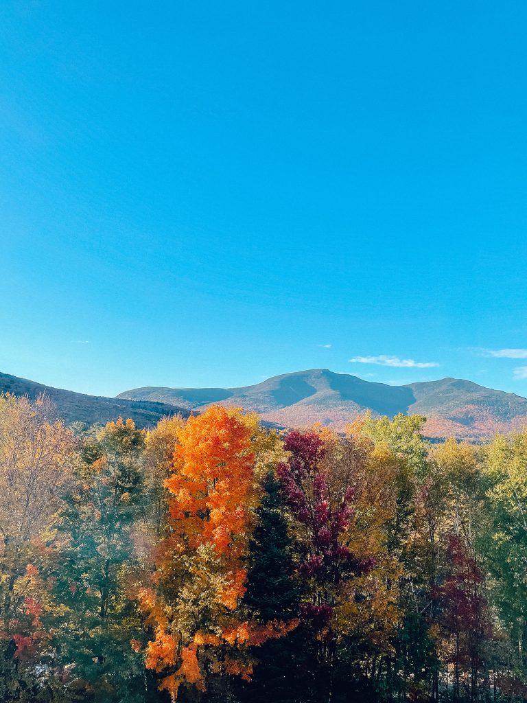 768x1024 Fall Foliage Weekend in NH's White Mountains Eyed Flower Child