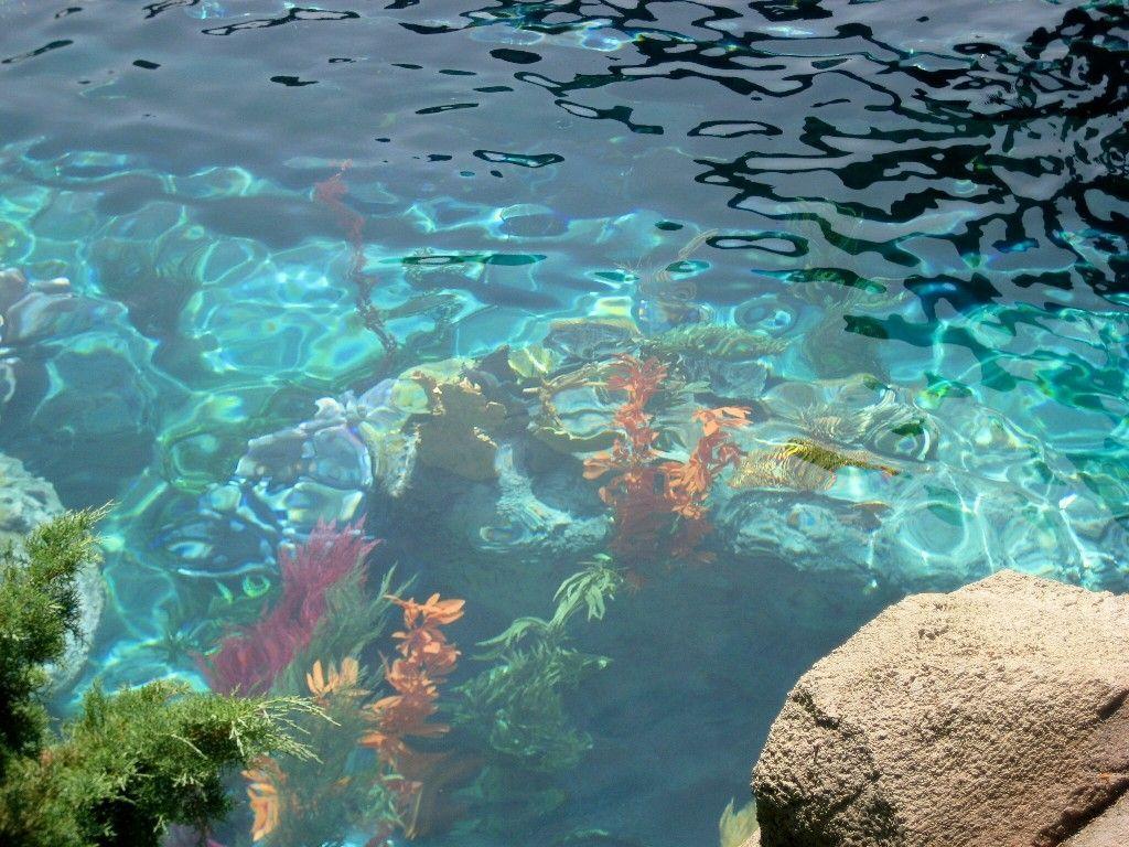 1024x768 Mermaid Laptop Aesthetic Wallpaper