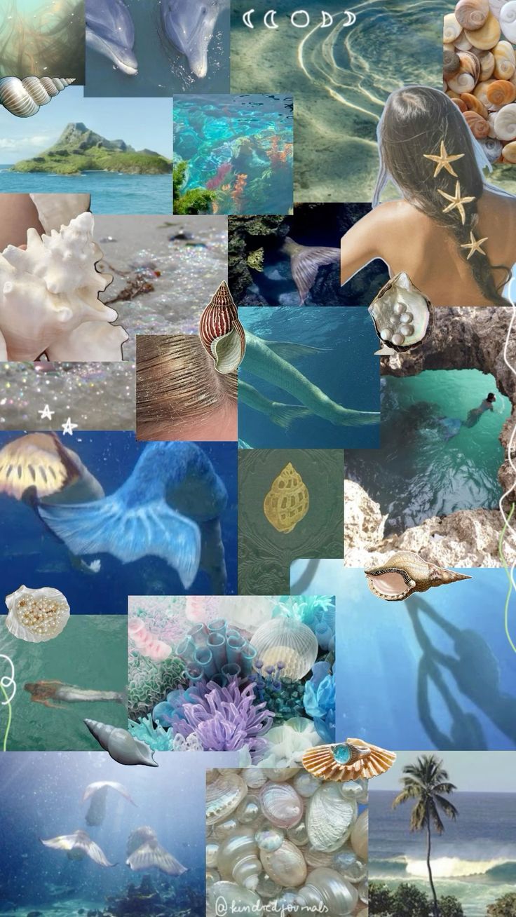 736x1308 Mermaid Aesthetic Wallpaper, HD Background