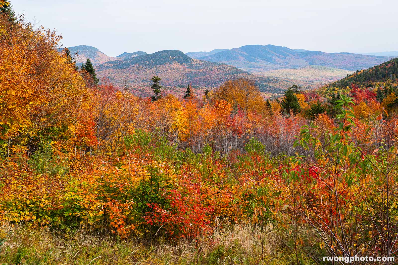 1600x1067 White Mountains Fall Color Photo. Richard Wong Photography