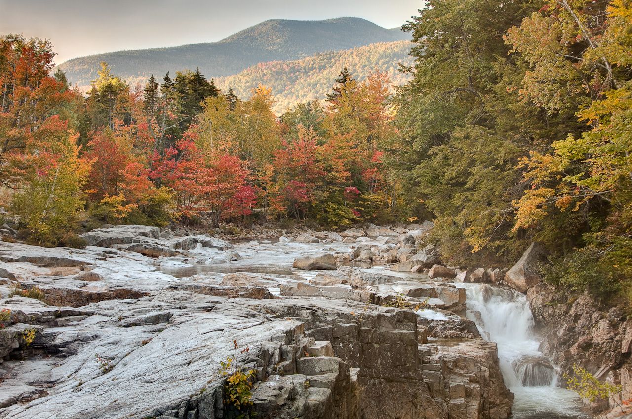 1280x849 White Mountain National Forest Forest Foundation