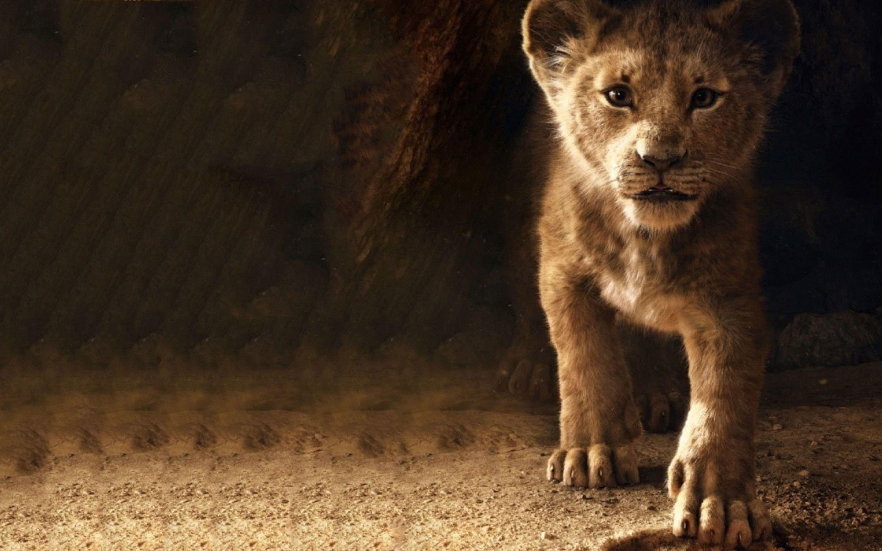 2880x1800 The Lion King Simba 2019 4k Macbook Pro Retina HD 4k