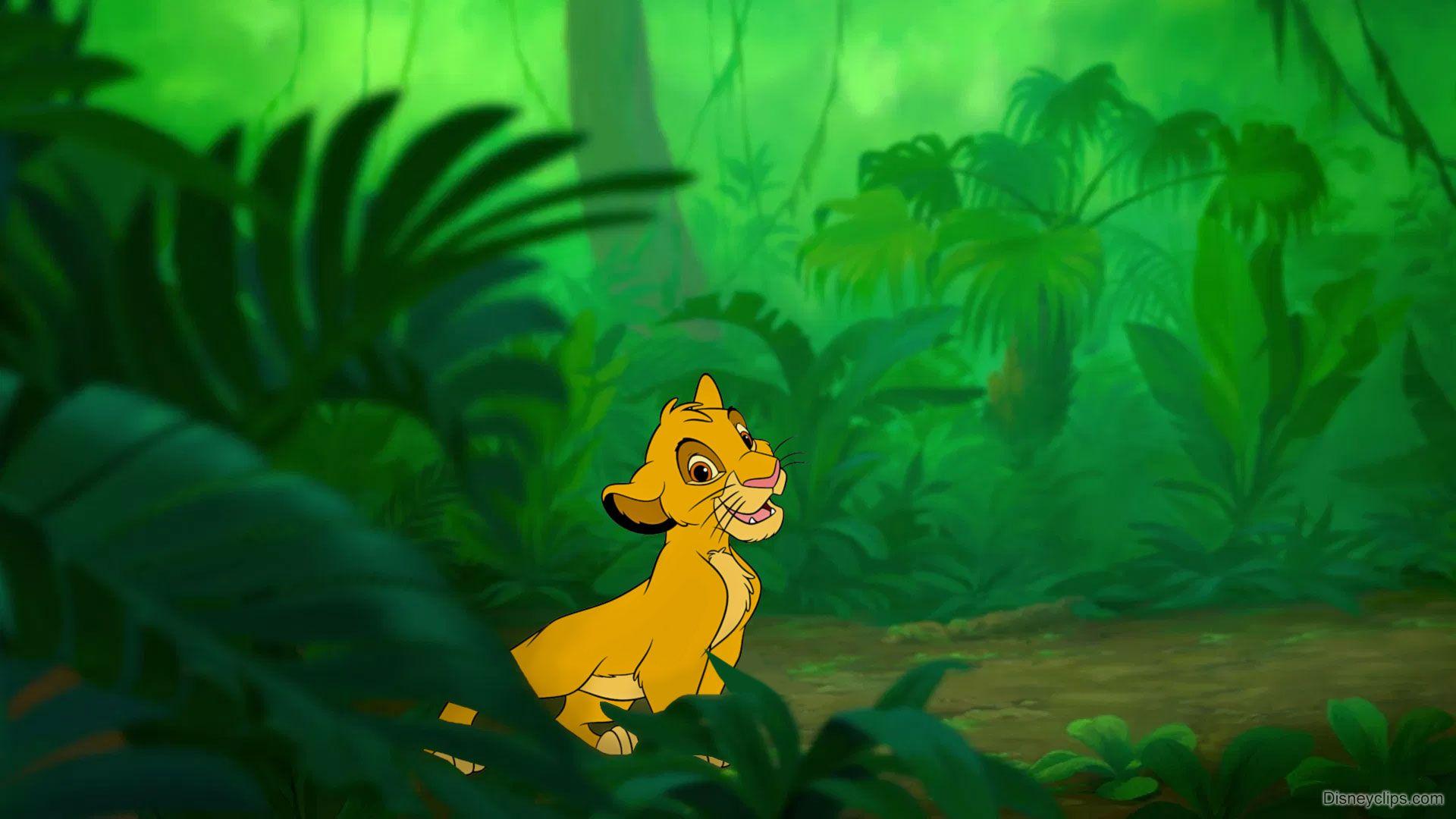 Lion King Simba Wallpapers Top Free Lion King Simba Backgrounds